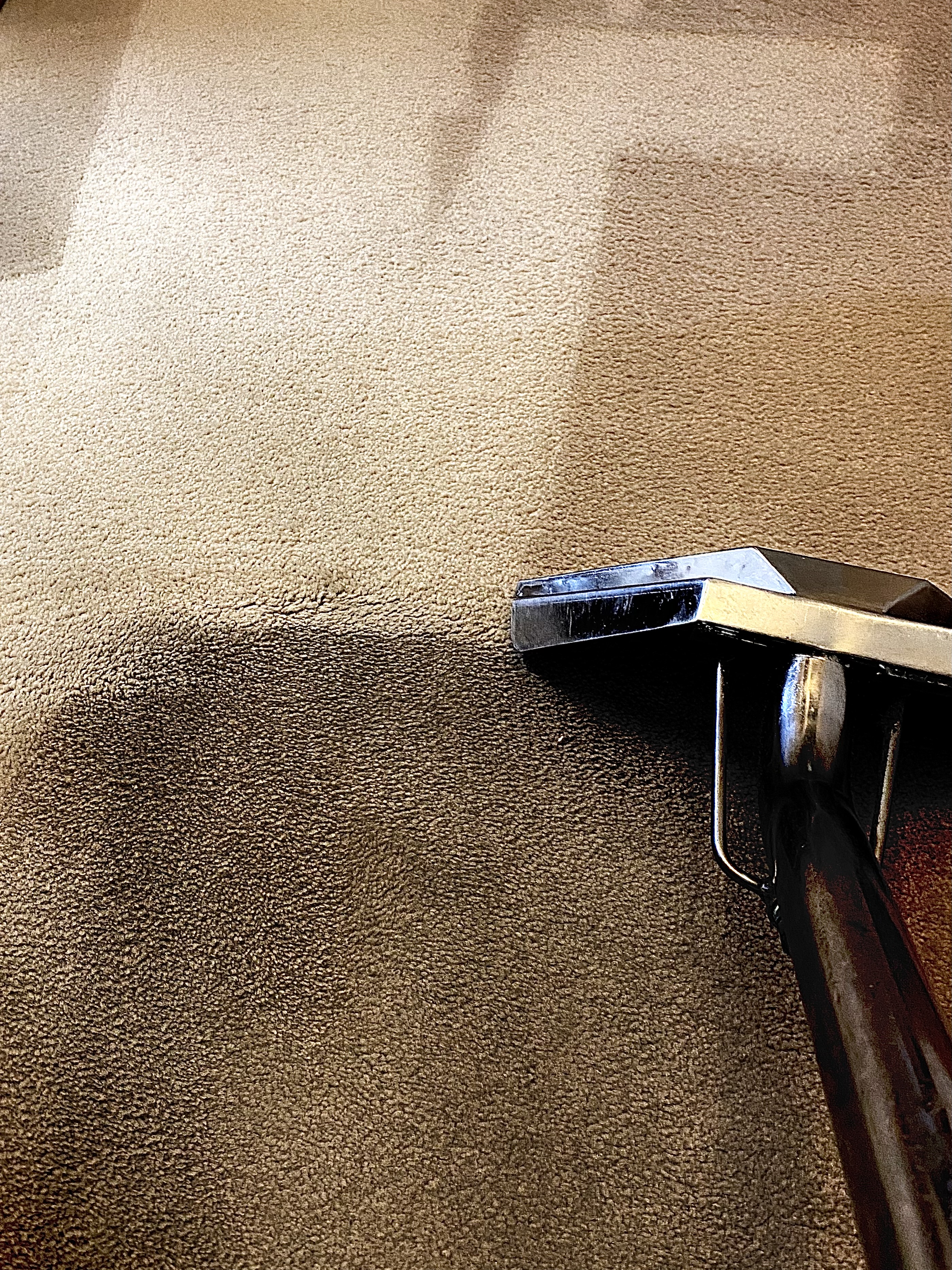 Carpet cleaning Fergus, pet stain urine odour removal